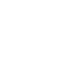 Logo marki Carhartt (Magictown Group)