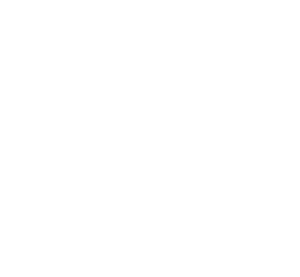 Logo marki Iron-ic (Magictown Group)