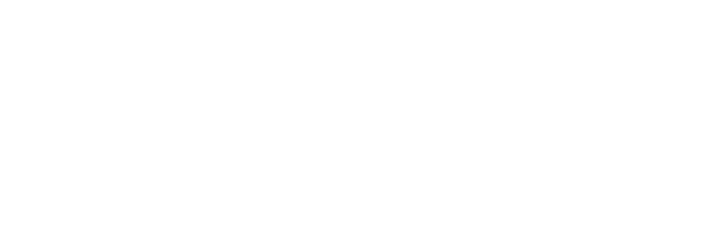 Logo Magictown Group