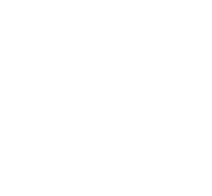 Logo marki SUNS Boards