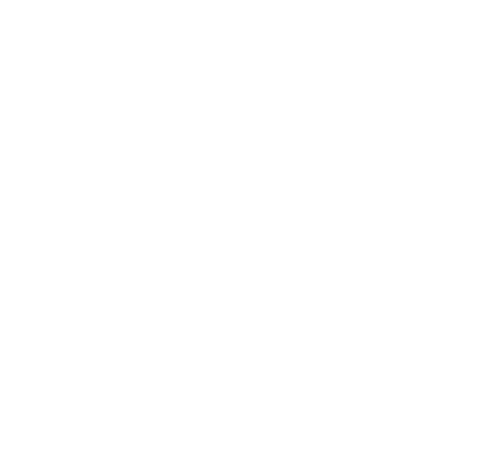 Logo marki SUNS Boards